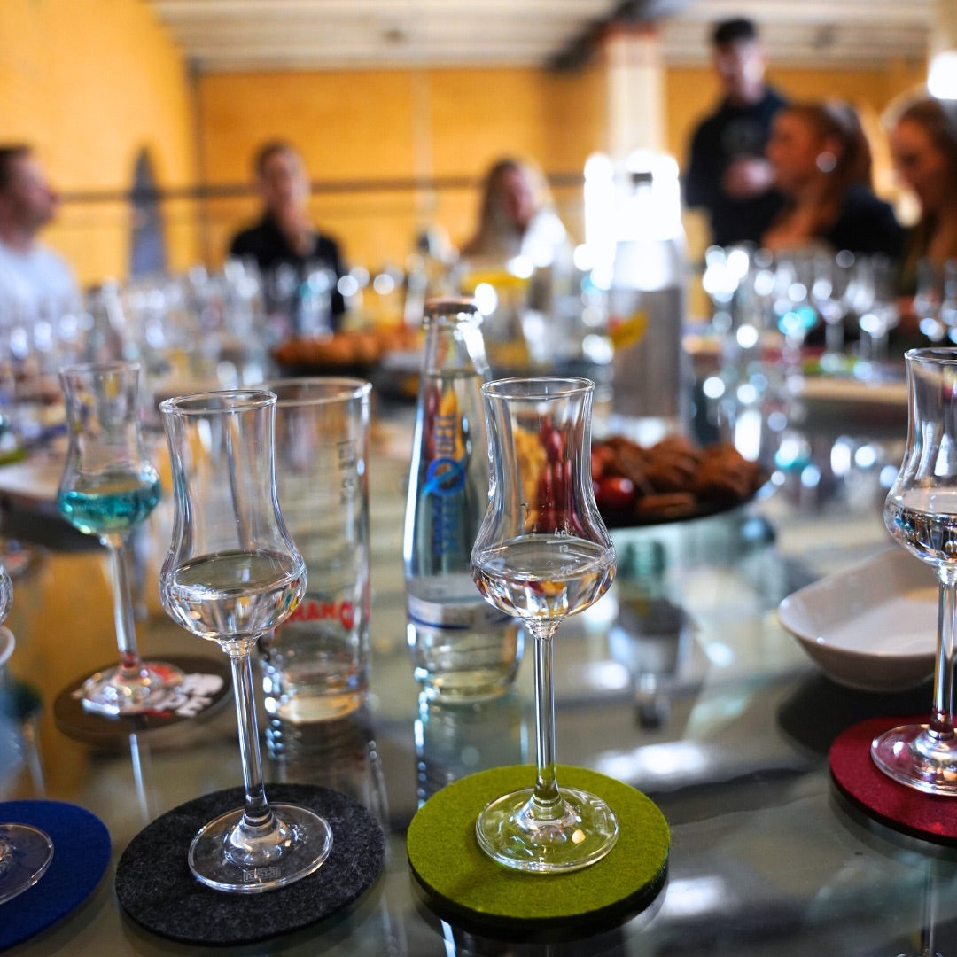GIN TASTING WITH OWN GIN PRODUCTION - 120-150 min